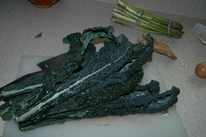 Tuscan Kale, or Dinosaur Kale