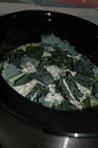 Turkey Kale Soup